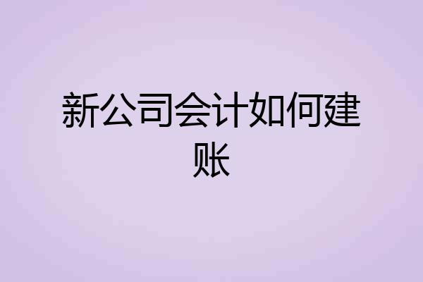 新公司会计如何建账