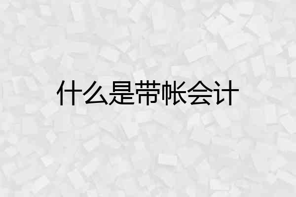 什么是带帐会计