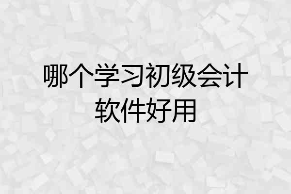 哪个学习初级会计软件好用