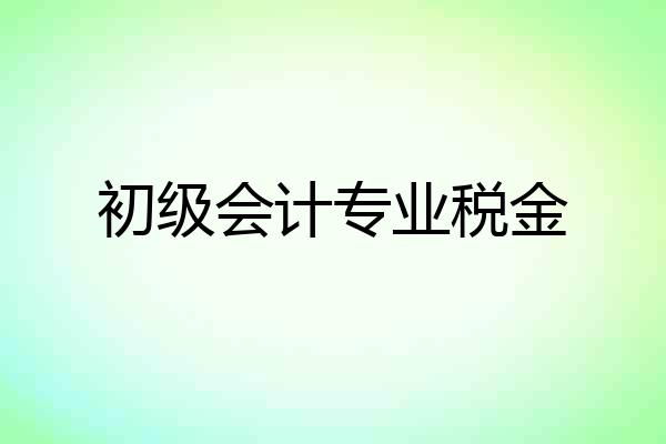 初级会计专业税金