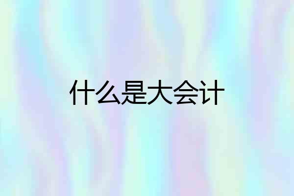 什么是大会计