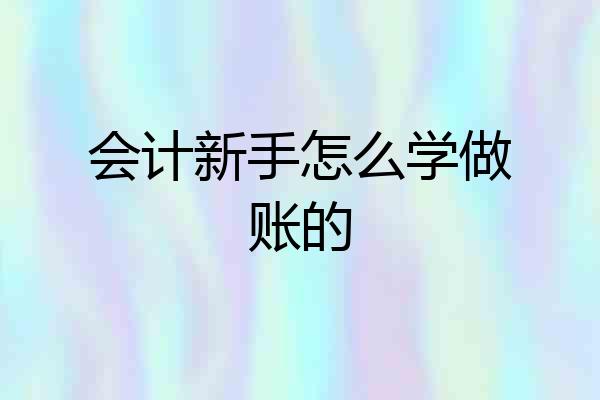 会计新手怎么学做账的