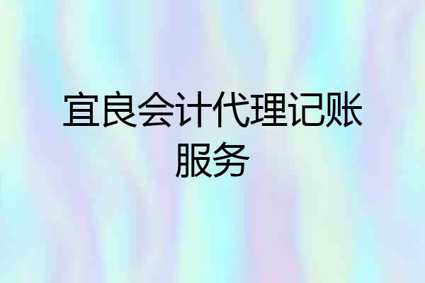 宜良会计代理记账服务