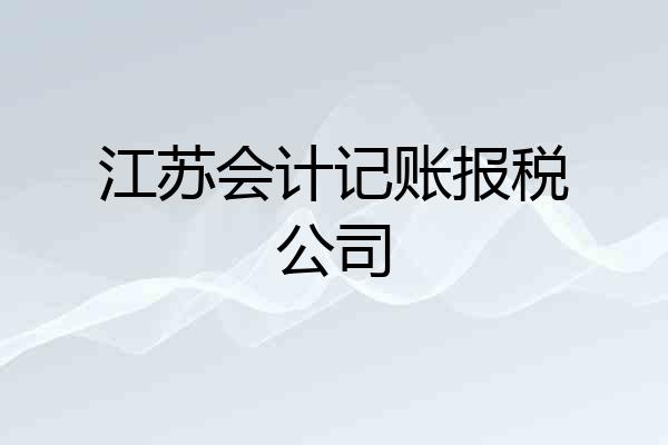 江苏会计记账报税公司