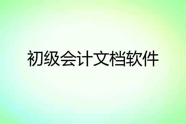 初级会计文档软件