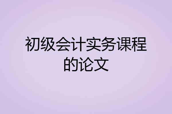 初级会计实务课程的论文
