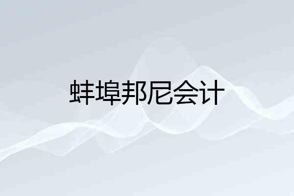 蚌埠邦尼会计