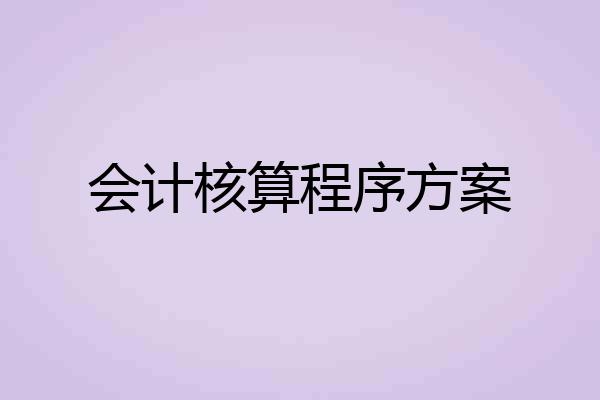 会计核算程序方案