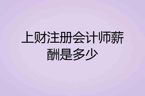 上财注册会计师薪酬是多少