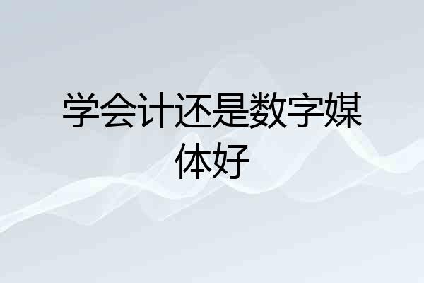 学会计还是数字媒体好