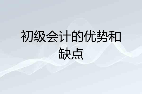 初级会计的优势和缺点