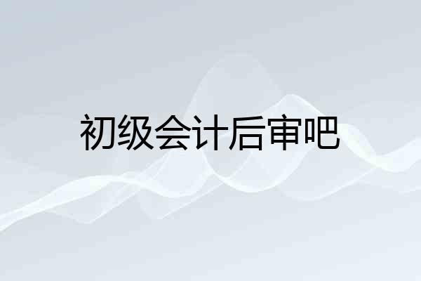 初级会计后审吧