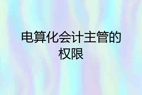 电算化会计主管的权限