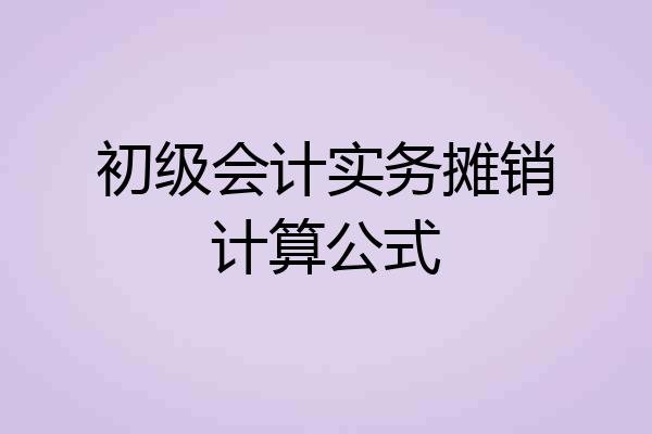 初级会计实务摊销计算公式