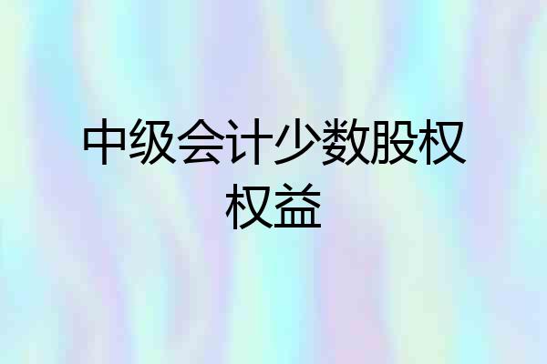 中级会计少数股权权益