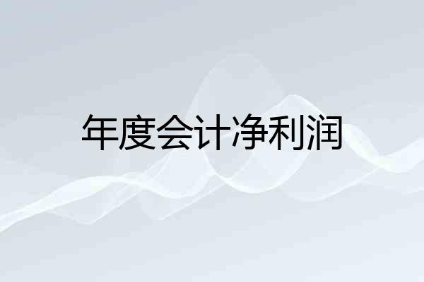 年度会计净利润
