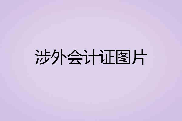 涉外会计证图片