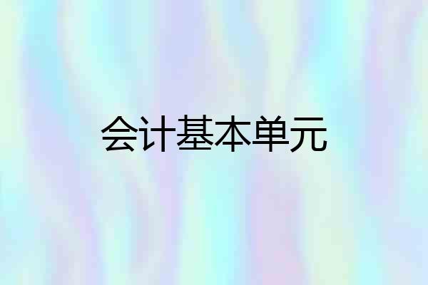 会计基本单元