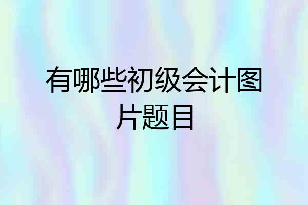 有哪些初级会计图片题目