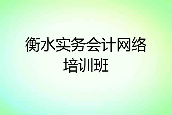 衡水实务会计网络培训班