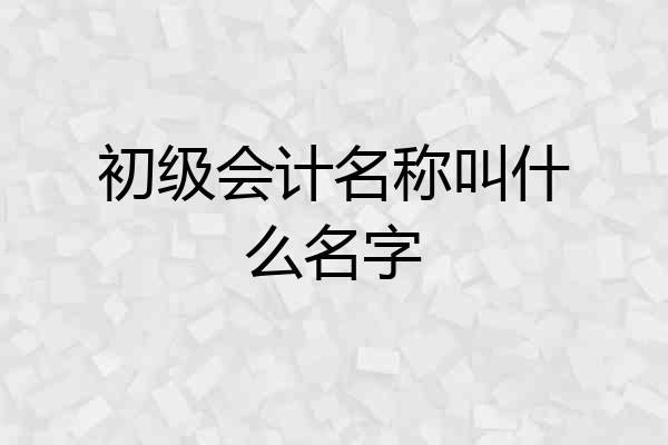 初级会计名称叫什么名字