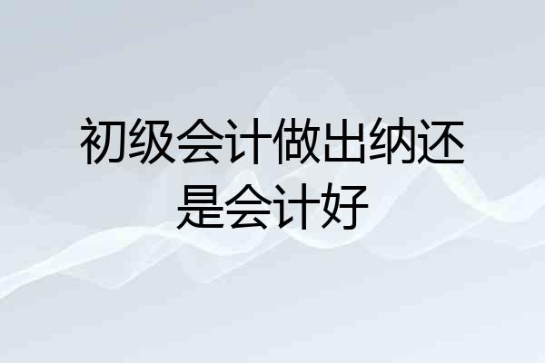 初级会计做出纳还是会计好
