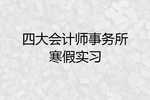 四大会计师事务所寒假实习