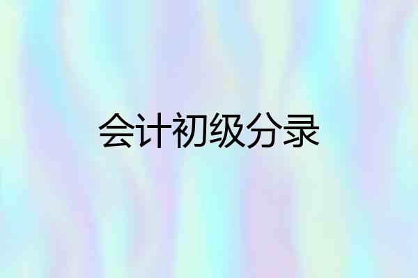 会计初级分录