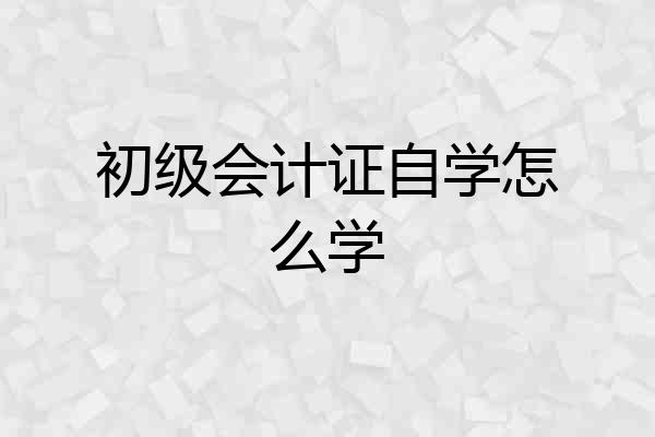 初级会计证自学怎么学