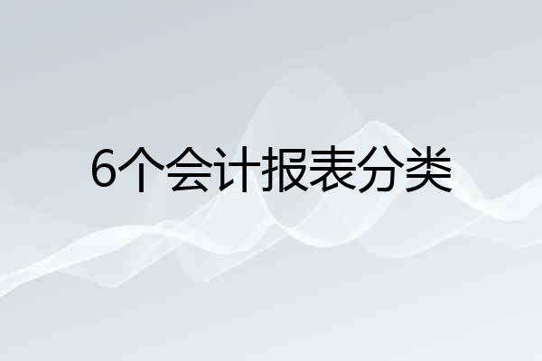 6个会计报表分类