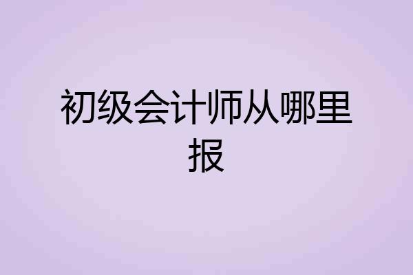 初级会计师从哪里报
