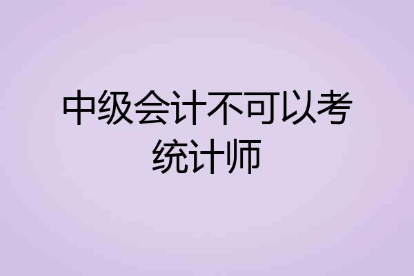 中级会计不可以考统计师