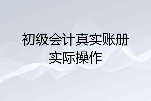 初级会计真实账册实际操作