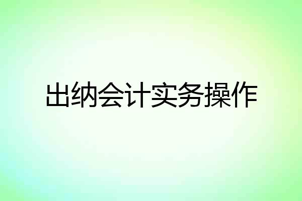 出纳会计实务操作