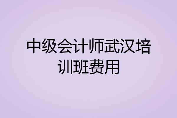 中级会计师武汉培训班费用