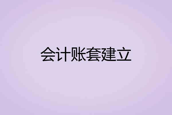 会计账套建立