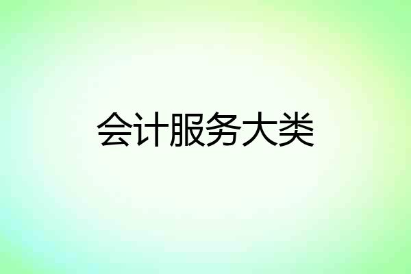 会计服务大类