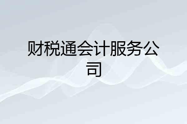 财税通会计服务公司