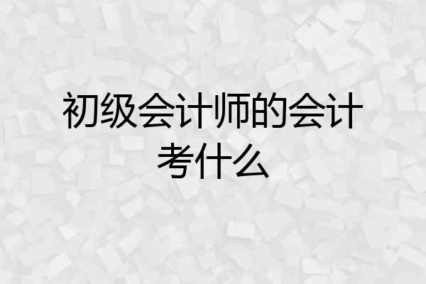 初级会计师的会计考什么