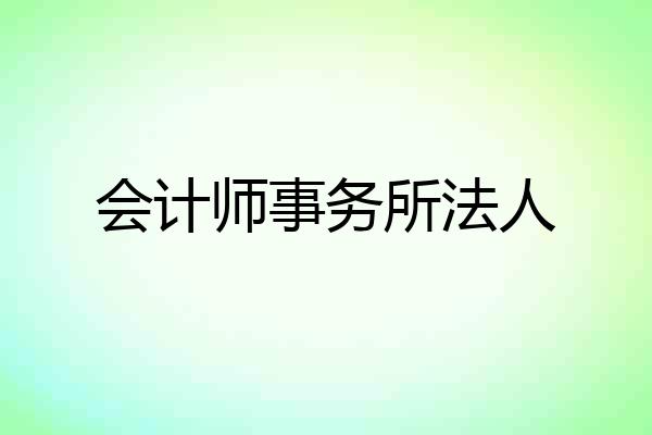 会计师事务所法人