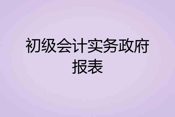 初级会计实务政府报表