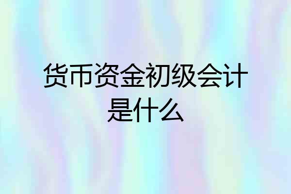 货币资金初级会计是什么
