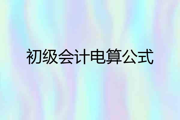 初级会计电算公式