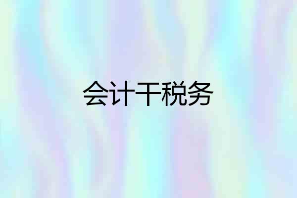 会计干税务