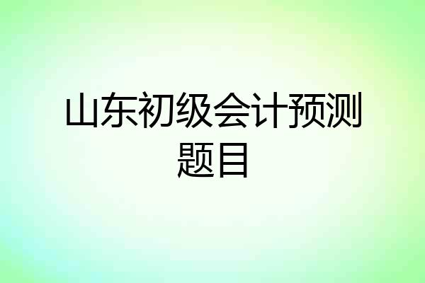 山东初级会计预测题目