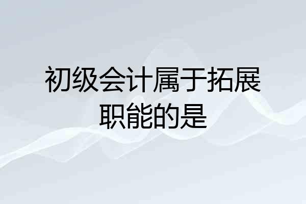 初级会计属于拓展职能的是