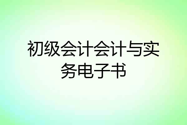 初级会计会计与实务电子书