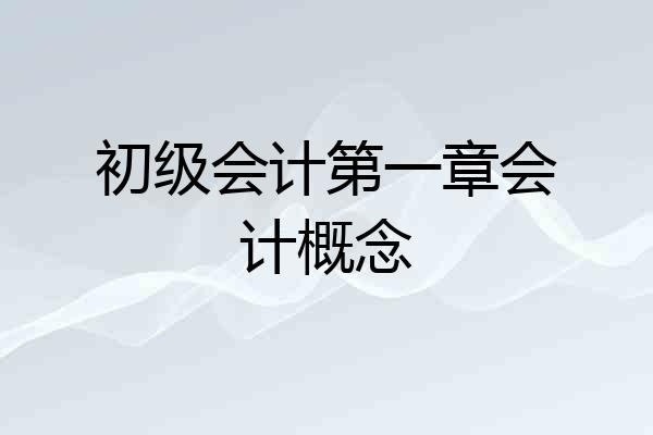 初级会计第一章会计概念