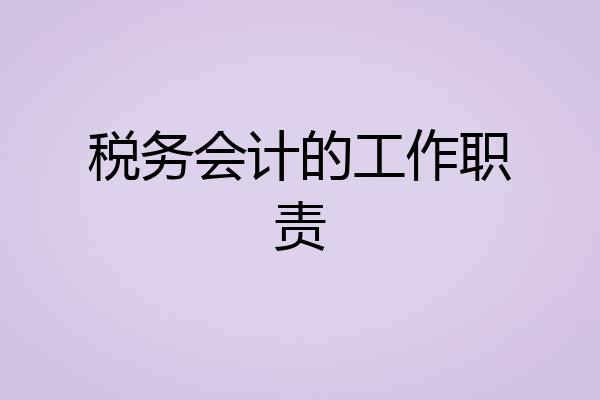 税务会计的工作职责