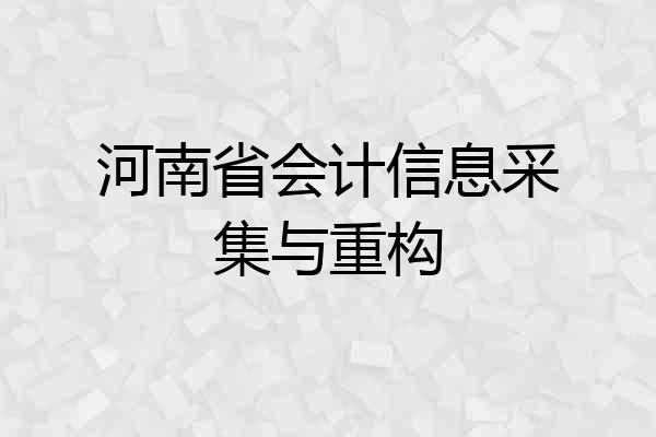 河南省会计信息采集与重构